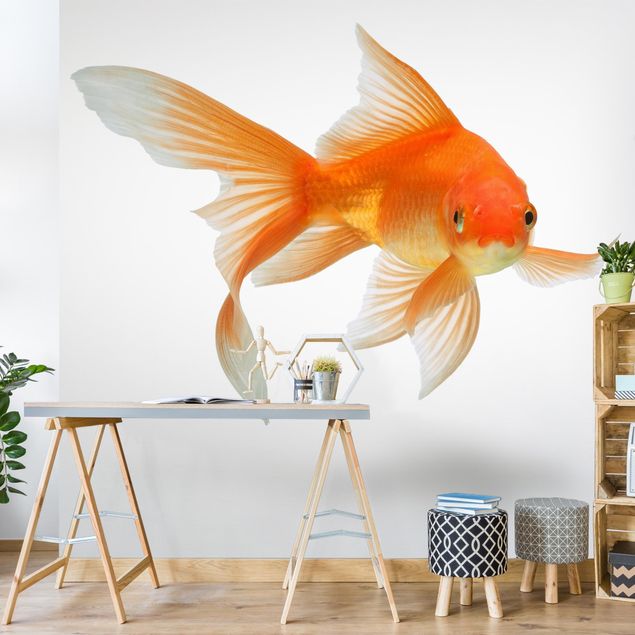 Papel pintado animales Goldfish Is Watching You