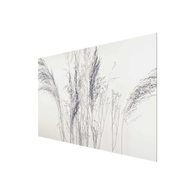 Cuadros de Monika Strigel Variations Of Grass