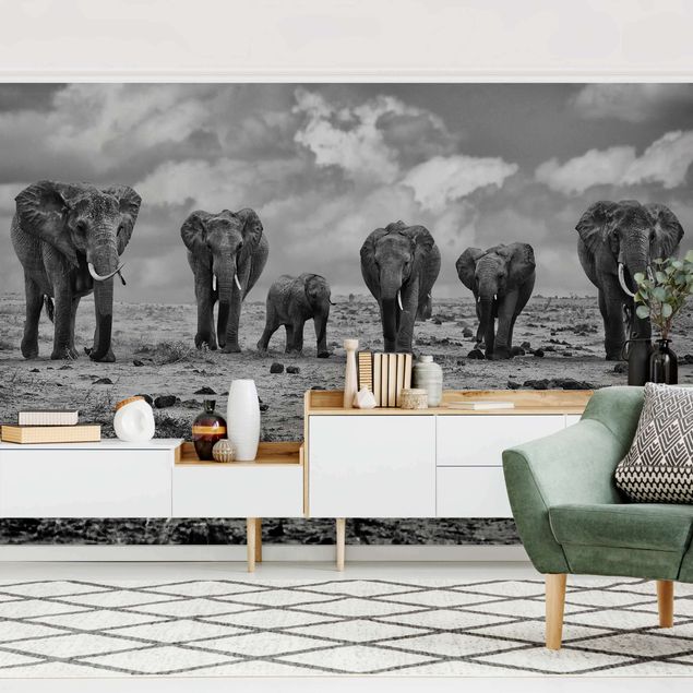 Papel pintado elefantes Large Familiy