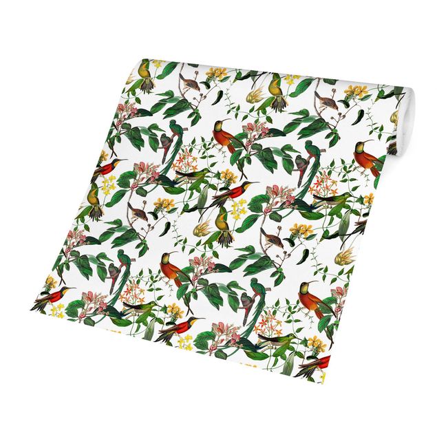 Papel pared animales Green And Red Hummingbirds Tropical