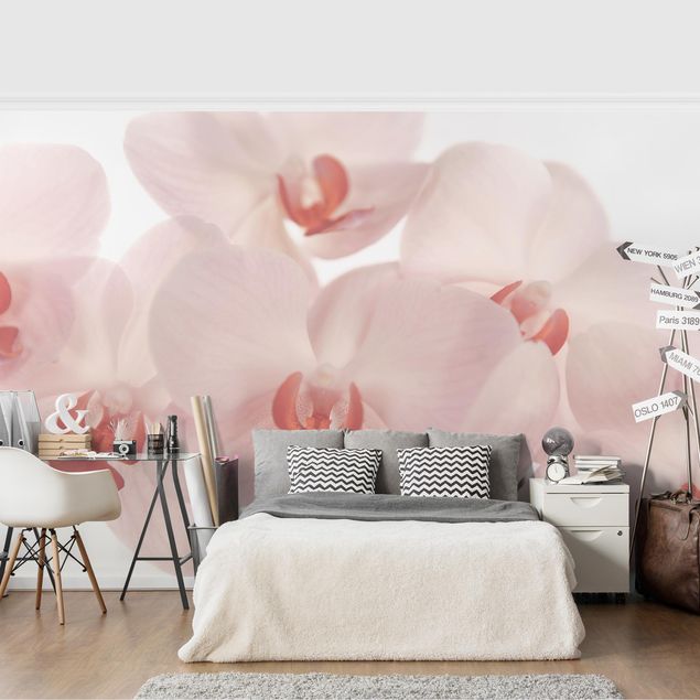 Papel pintado flores Bright Orchid Flower Wallpaper - Svelte Orchids