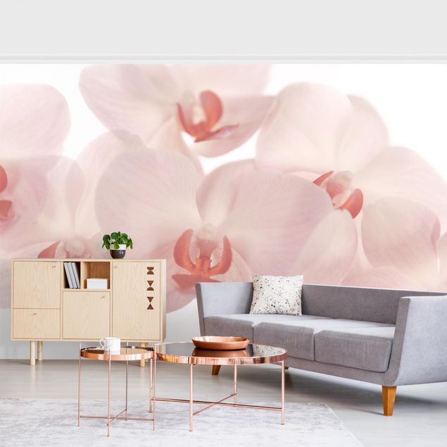 Papeles pintados modernos Bright Orchid Flower Wallpaper - Svelte Orchids