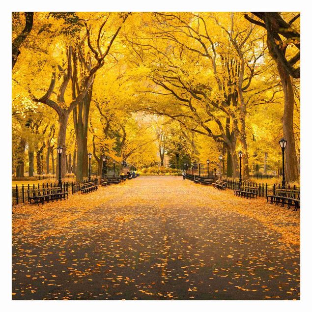 Papel pintado Autumn In Central Park