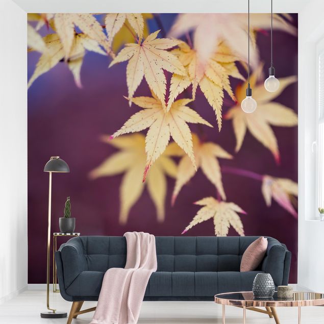 Papeles pintados modernos Autumn Maple Tree