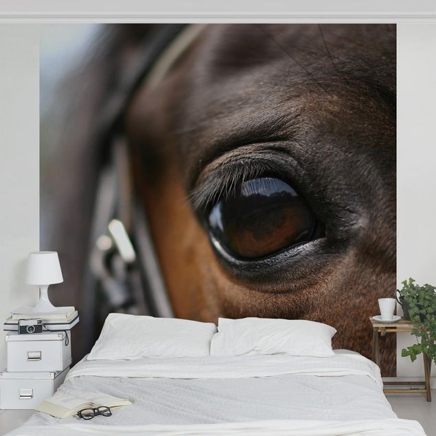 Papel pintado moderno Horse Eye
