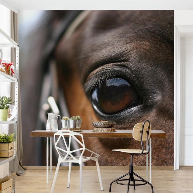 Papel pintado animales Horse Eye