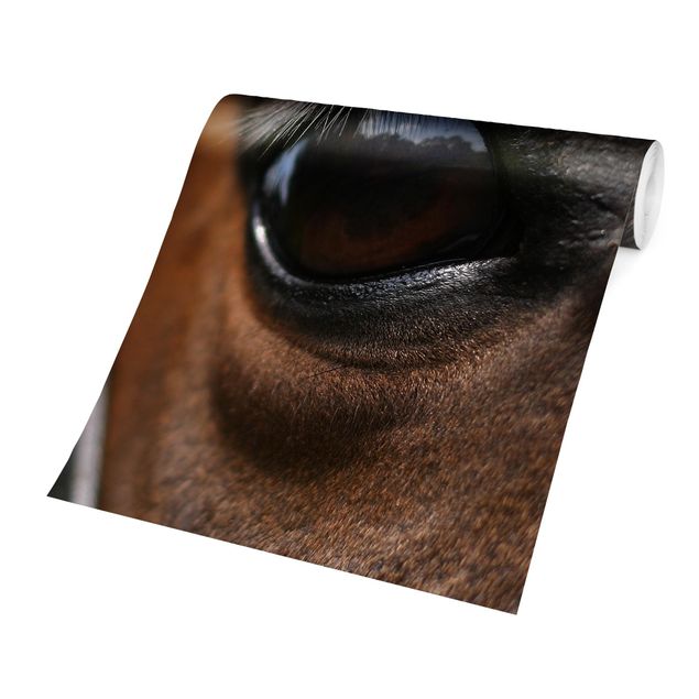 Papel pintado marrón Horse Eye