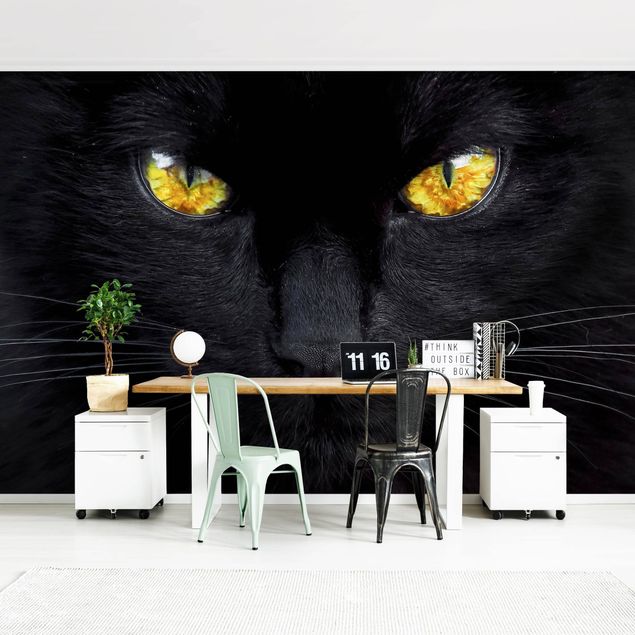 Papel pintado gatos Hypnotic Glance