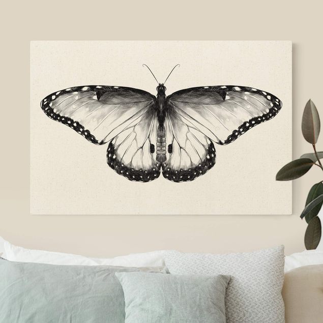 Cuadros de mariposas y flores Illustration Flying Common Morpho Black