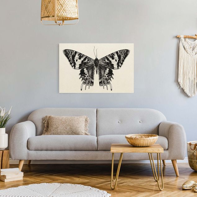 Lienzos animal Illustration Flying Madagascan Butterfly