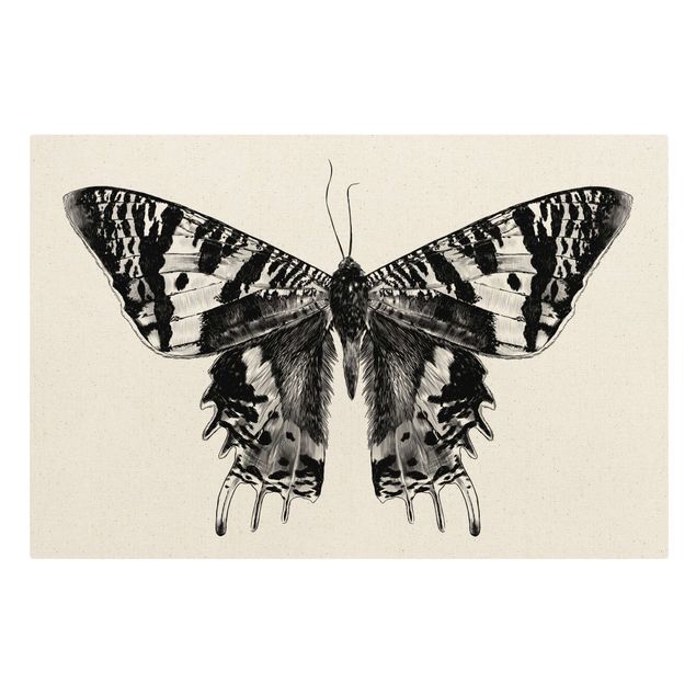 Cuadros infantiles animales Illustration Flying Madagascan Butterfly