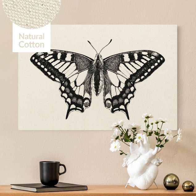 Lienzos de mariposas Illustration Flying Dovetail Black