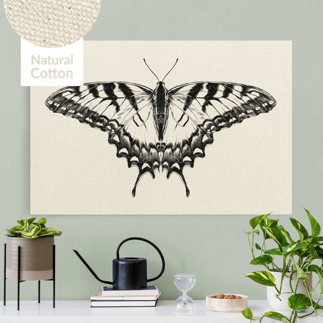 Lienzos de mariposas Illustration Flying Tiger Swallowtail Black