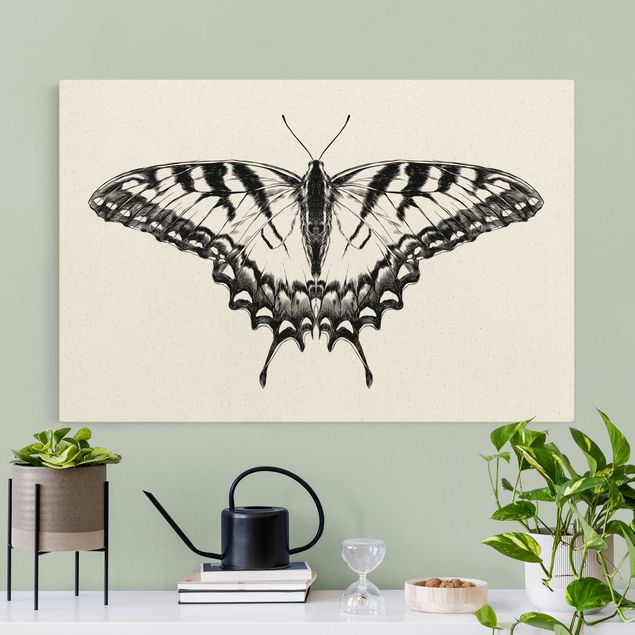 Lienzos de tigres Illustration Flying Tiger Swallowtail Black
