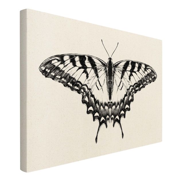 Cuadros modernos y elegantes Illustration Flying Tiger Swallowtail Black