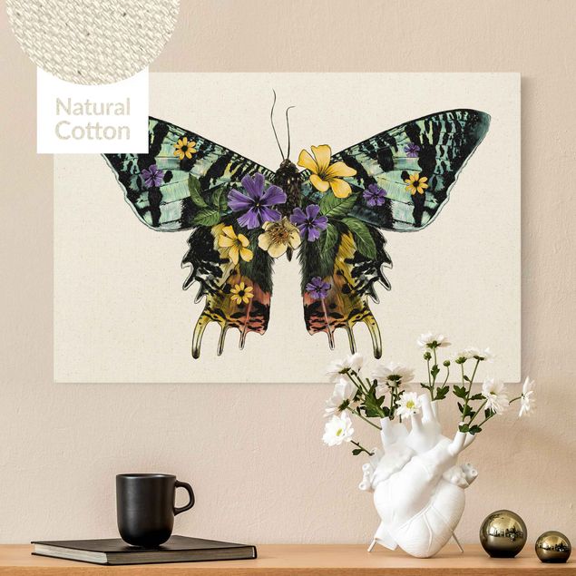 Lienzos mariposas Illustration Floral Madagascan Butterfly