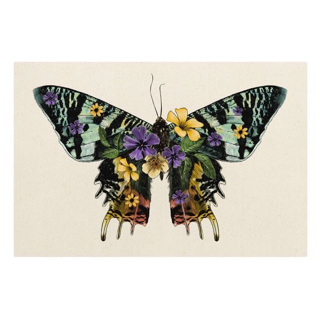 Cuadros de animales Illustration Floral Madagascan Butterfly