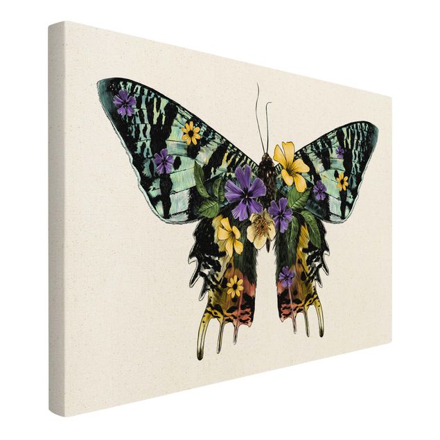 Cuadros multicolor Illustration Floral Madagascan Butterfly