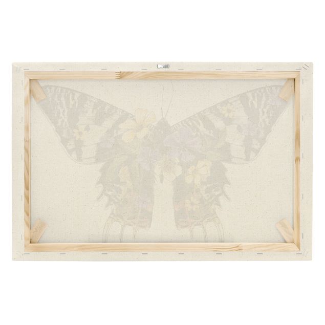 Lienzos Illustration Floral Madagascan Butterfly