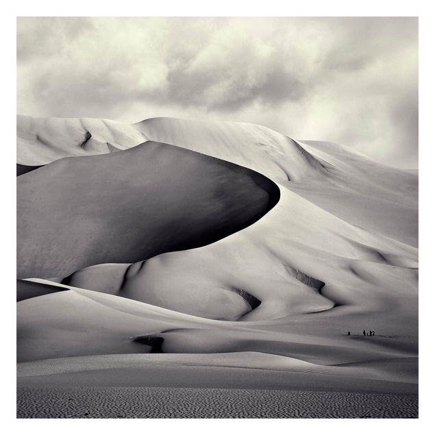 Papel pintado blanco y negro In The South Of The Sahara