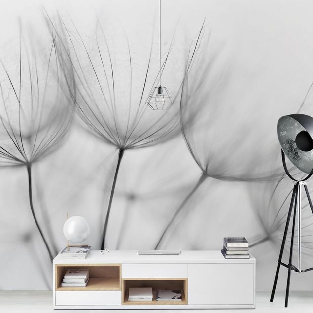 Papel pintado moderno Inside A Dandelion Black And White