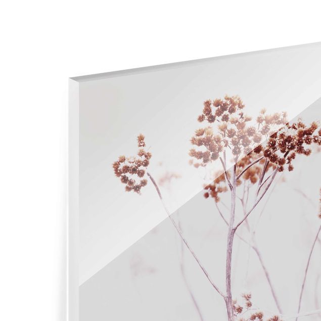 Tableros magnéticos de vidrio Icelandic Wild Flowers
