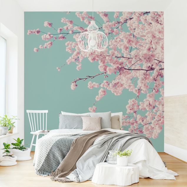 Papel pintado floral Japanese Cherry Blossoms