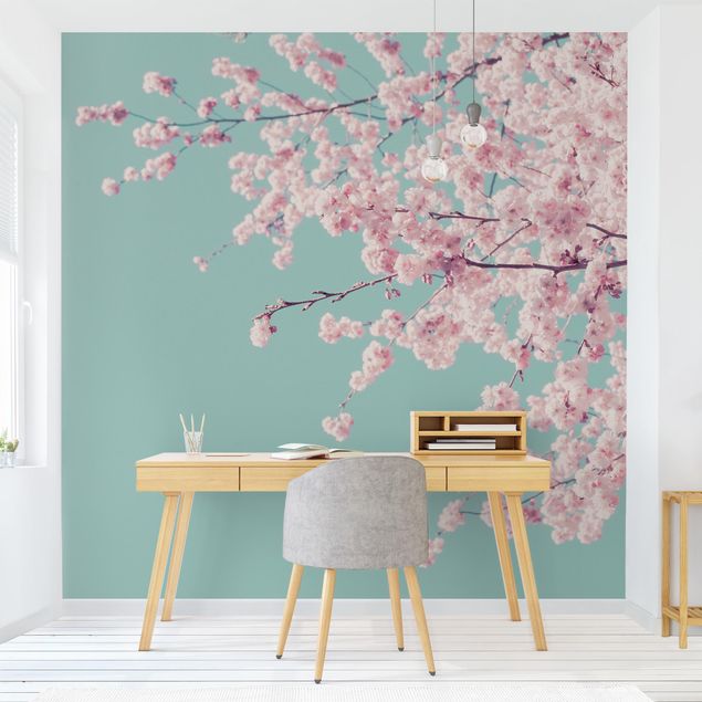 Papel pintado moderno Japanese Cherry Blossoms