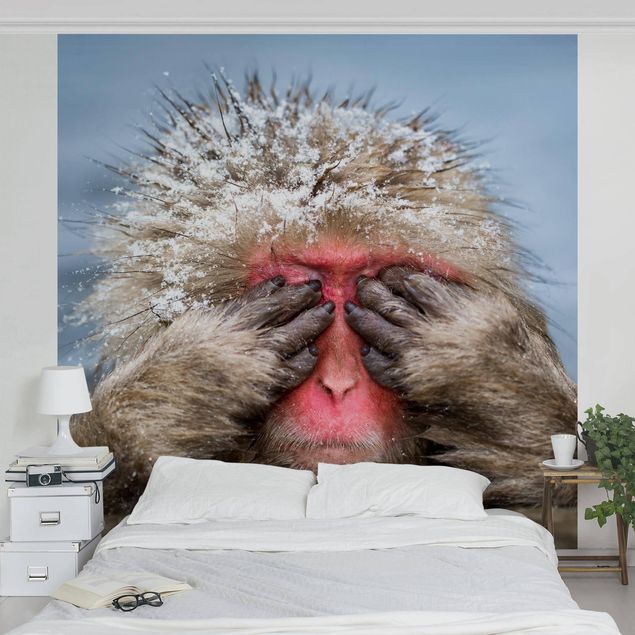 Papel pintado moderno Japanese Macaque