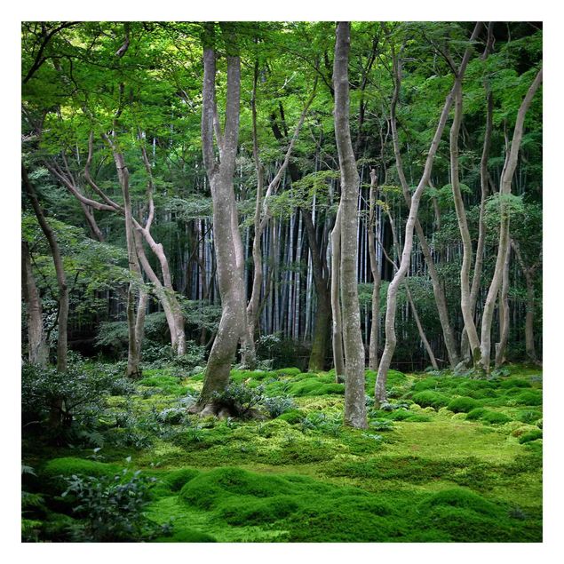 Papel de pared Japanese Forest