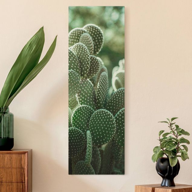 Cuadros en lienzo de flores Cacti