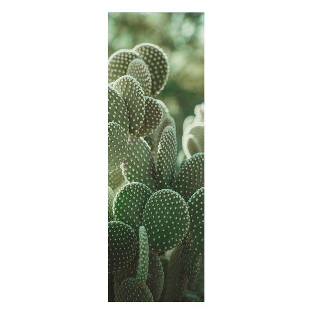 Cuadros tonos verdes Cacti