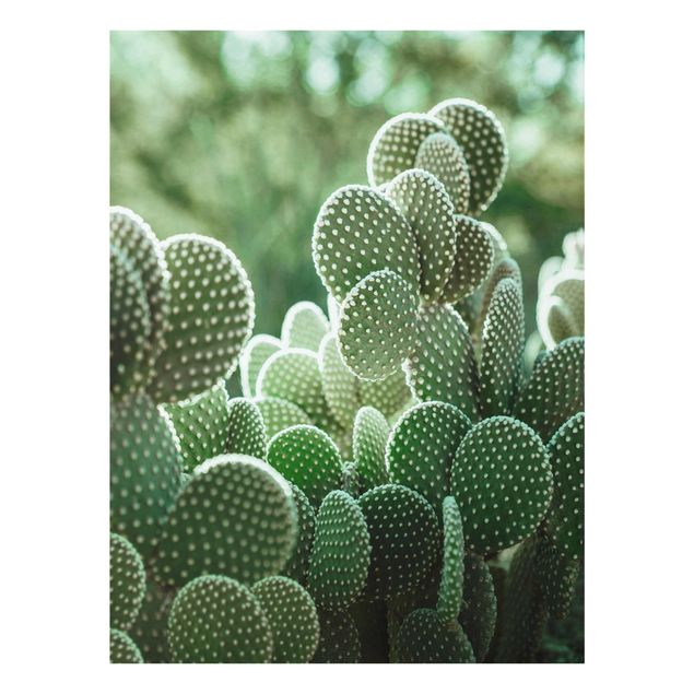 Cuadros tonos verdes Cacti
