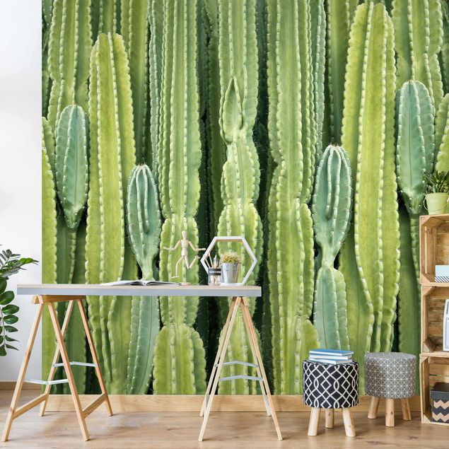 Papeles pintados modernos Cactus Wall