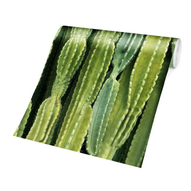 Papel pintado tonos verdes Cactus Wall