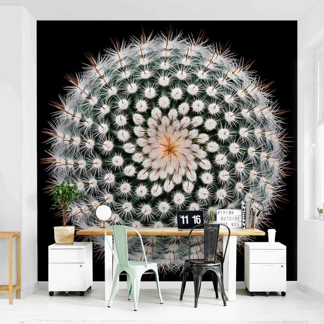 Papel pintado moderno Cactus Flower