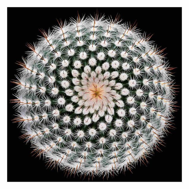 Papel pintado Cactus Flower