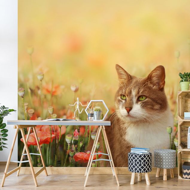 Decoración infantil pared Cat In A Field Of Poppies