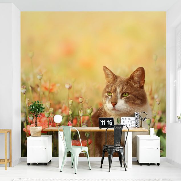 Papel pintado salón moderno Cat In A Field Of Poppies