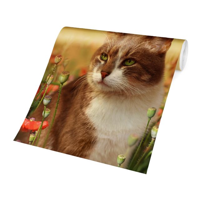 Papel pintado infantil animales Cat In A Field Of Poppies