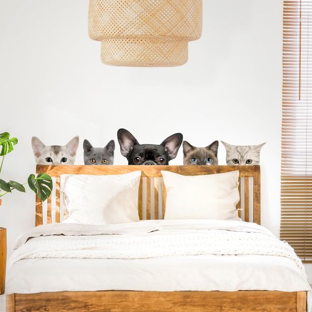 Decoración infantil pared Cats with dog look