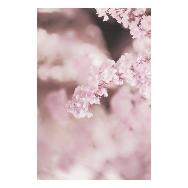 Cuadros en tonos beige y marrón Cherry Blossoms In Purple Light
