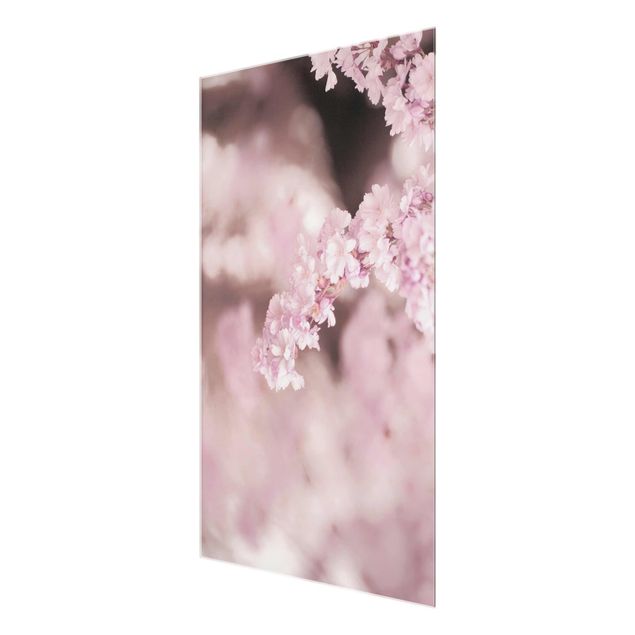Cuadros de Monika Strigel Cherry Blossoms In Purple Light