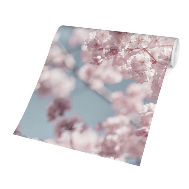 Papel pintado tonos rosas Cherry Blossom Party