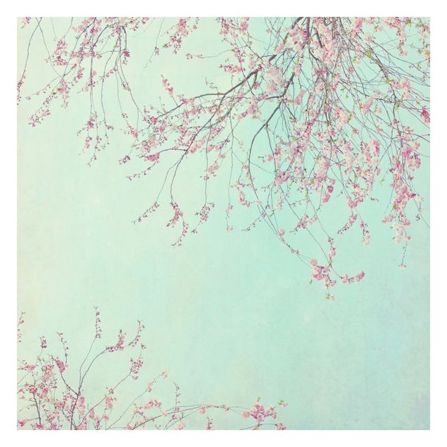 Papel de pared Cherry Blossom Yearning