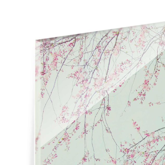 Cuadros modernos Cherry Blossom Yearning
