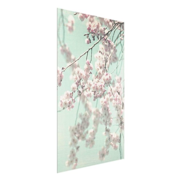 Cuadros de flores modernos Dancing Cherry Blossoms On Canvas