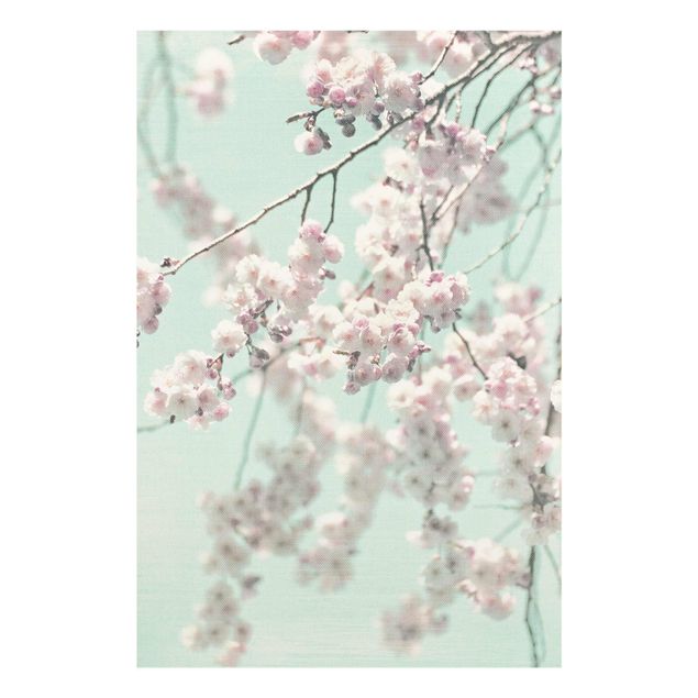 Cuadros de Monika Strigel Dancing Cherry Blossoms On Canvas