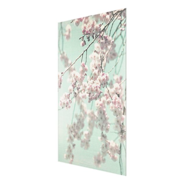 Cuadros modernos Dancing Cherry Blossoms On Canvas