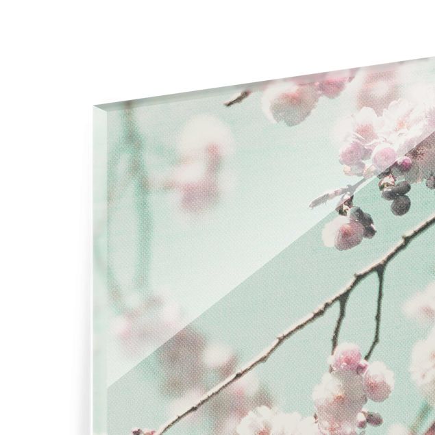 Tableros magnéticos de vidrio Dancing Cherry Blossoms On Canvas